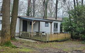 Chalet Hoenderloo Beuk